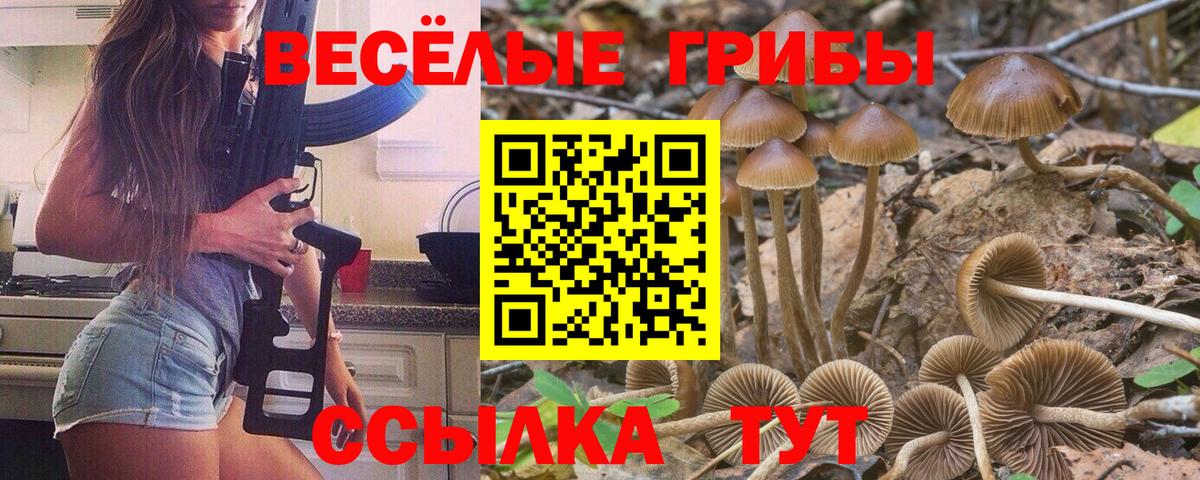 купить закладку  Псилоцибиновые грибы Magic Shrooms  Вход с VPN  Партизанск 